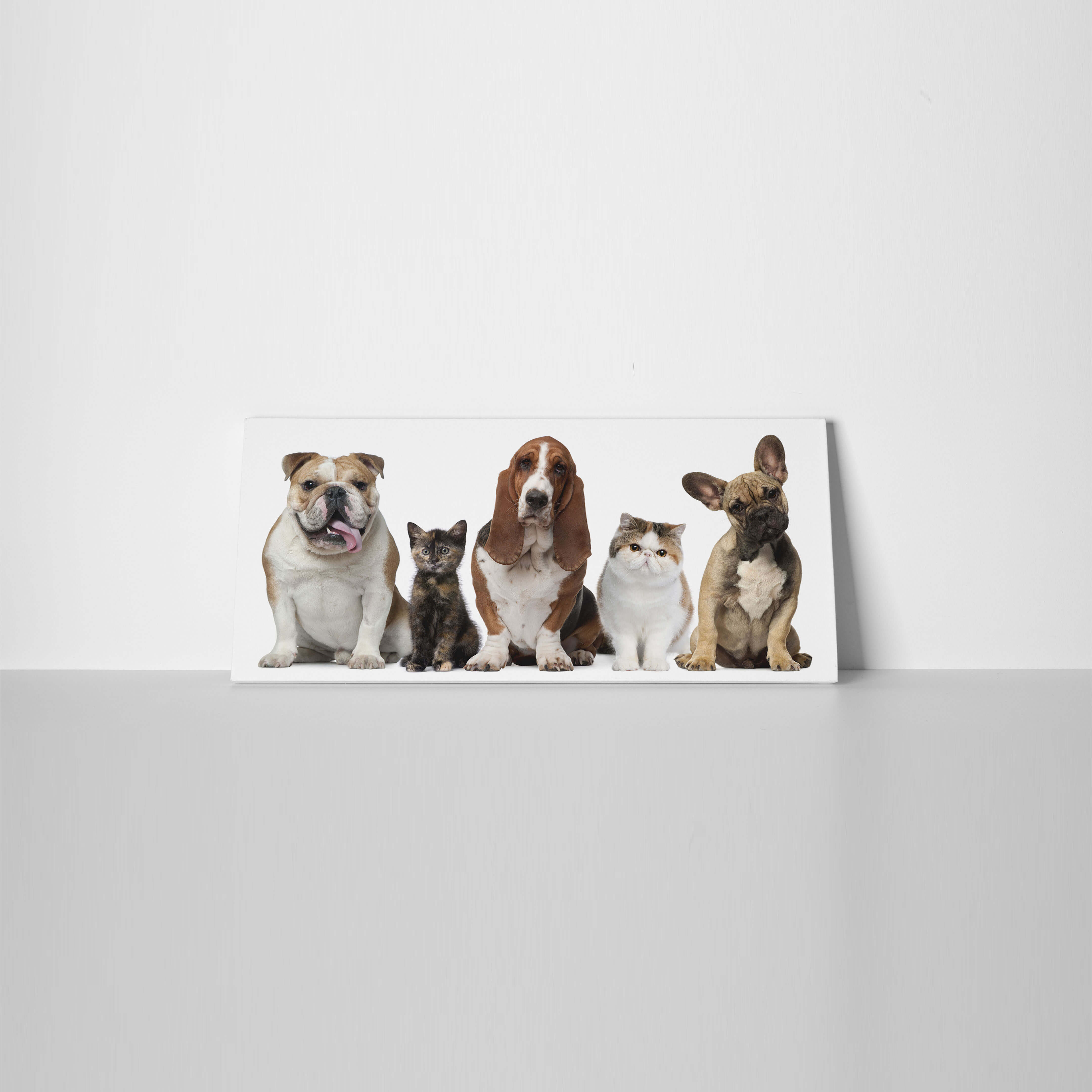 Pet Canvas Prints | Pet Photos on Canvas2