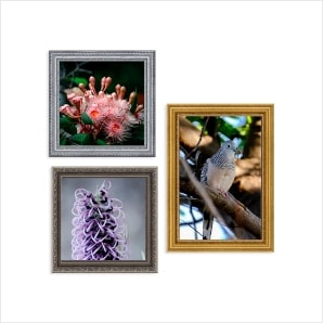 Photography Canvas Wall Art