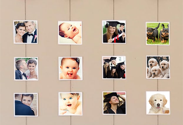 Family journey photo prints with pet photos